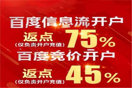 SEM推广策略如何制定——以某电商平台的成功案例为例